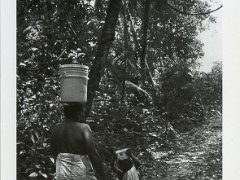 Surinam