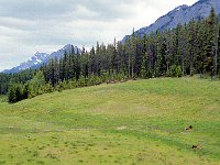 Image111