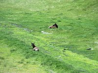 Image112
