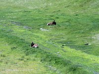 Image113