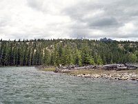 Image41
