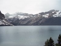 Image41