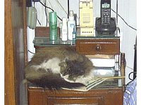 2001 06 c16 Hutong