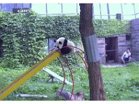 Bejing Zoo