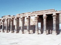 Image11