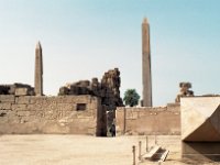 Image1 (2)