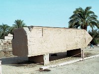 Image11 (2)