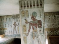 Image11 (3)