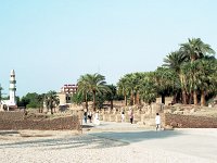 Image7 (2)