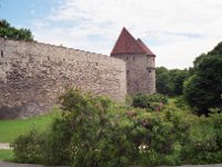 Image103