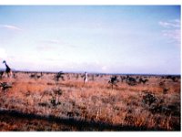 SCAN0147