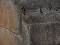 2012096838 Tombs of Kaleb and Gebre Meskel - Axum - Ethiopia - Oct 01