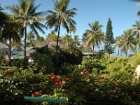 Fiji 2005