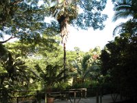 2005 02 057