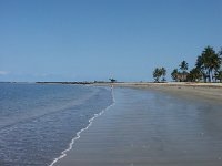2005 02 1081