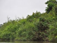 2011023333 Aquateca - Guatemala