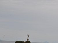 2011023992 Rio Dulce - Guatemala