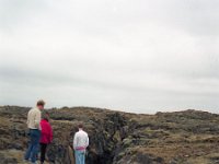 Image845