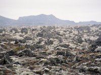 Image870