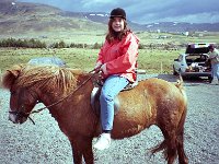 Image831