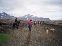 Image888