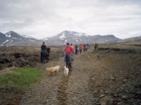 Image893