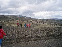 Image904