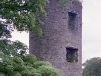 Image308