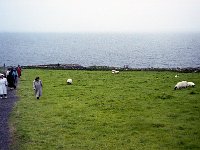 Image52
