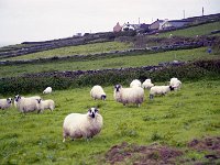 Image55