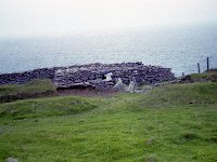 Image56