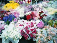 Image677