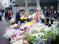 Image678