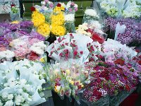 Image687