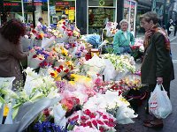 Image688