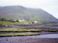 Image550