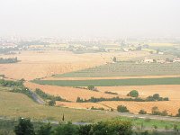Image1006