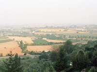 Image1007