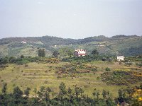 Image1010