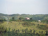 Image1031