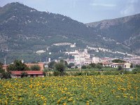 Image1034