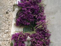 Image1061