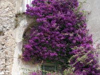 Image1063