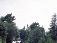 Image79