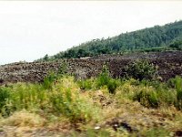 1989070640