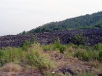 Image50