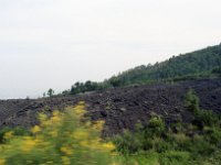 Image51