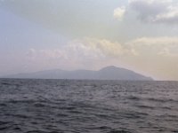 Image91