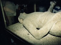 1989070293