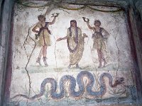 Image1202